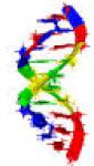 DNS Spirale